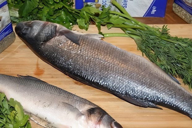 Рыба, запеченная в соли, по-хорватски